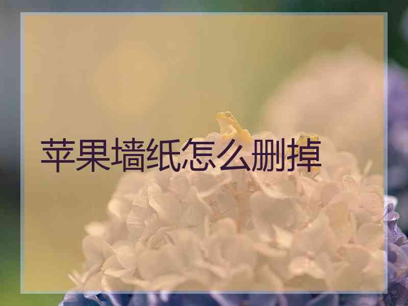 苹果墙纸怎么删掉