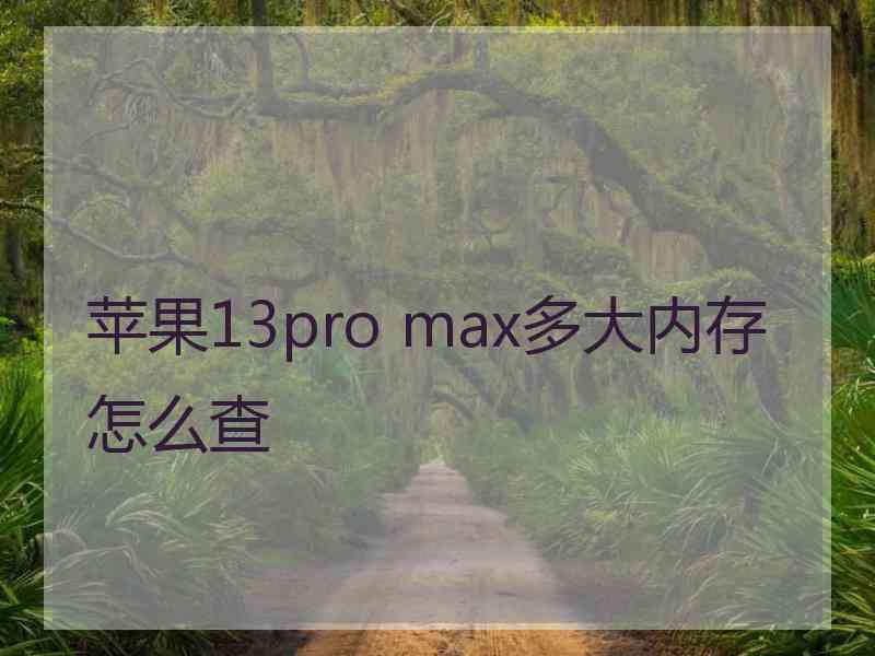 苹果13pro max多大内存怎么查