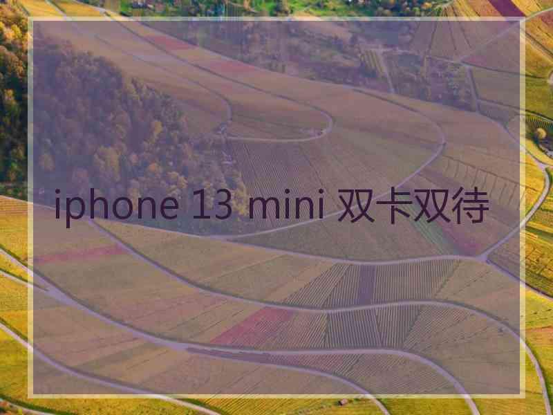 iphone 13 mini 双卡双待