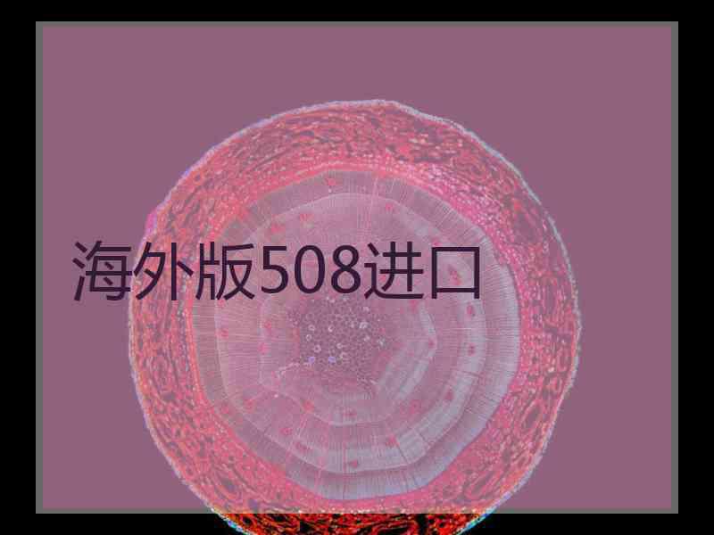 海外版508进口