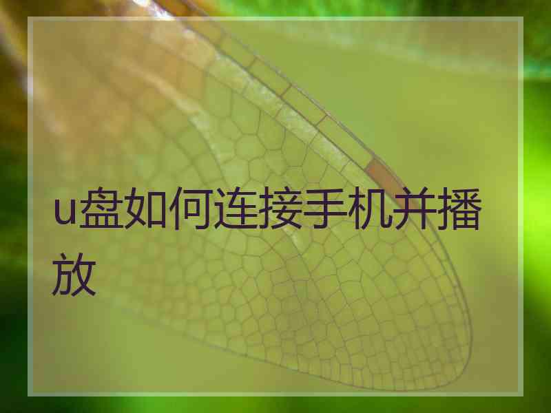 u盘如何连接手机并播放