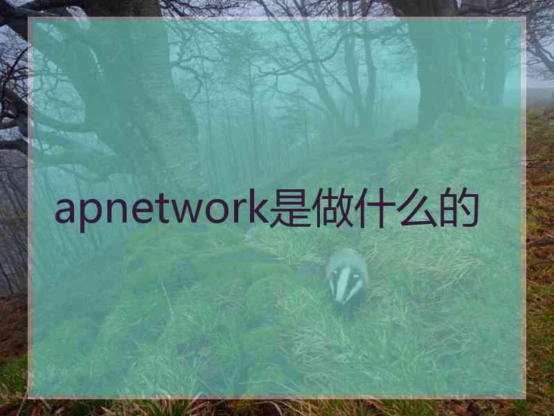 apnetwork是做什么的