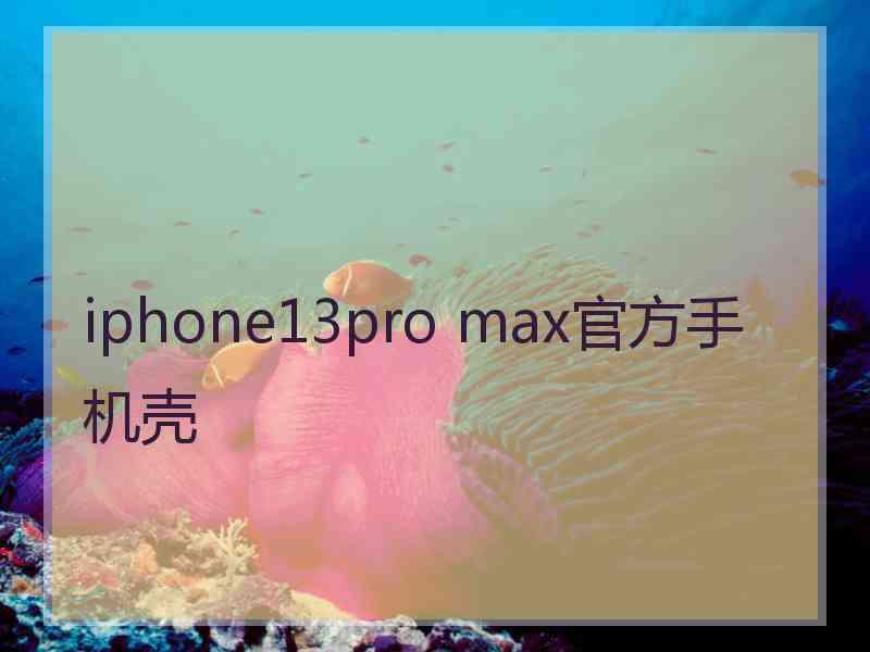 iphone13pro max官方手机壳