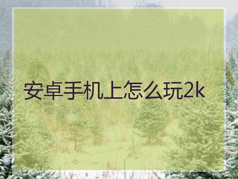 安卓手机上怎么玩2k