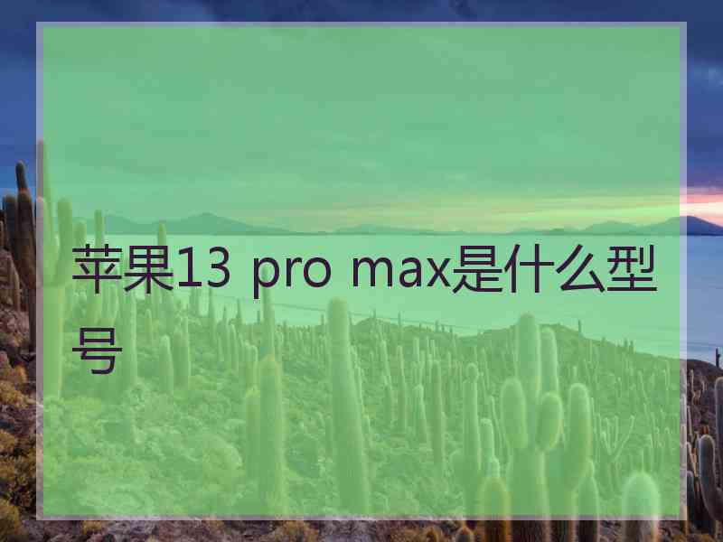 苹果13 pro max是什么型号