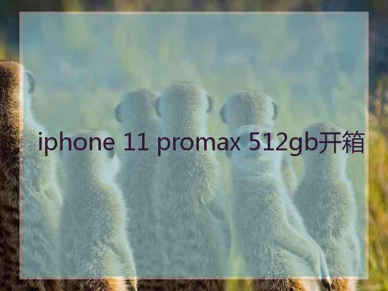 iphone 11 promax 512gb开箱