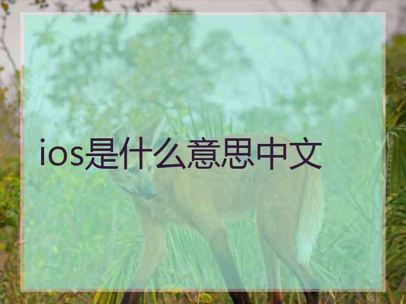 ios是什么意思中文