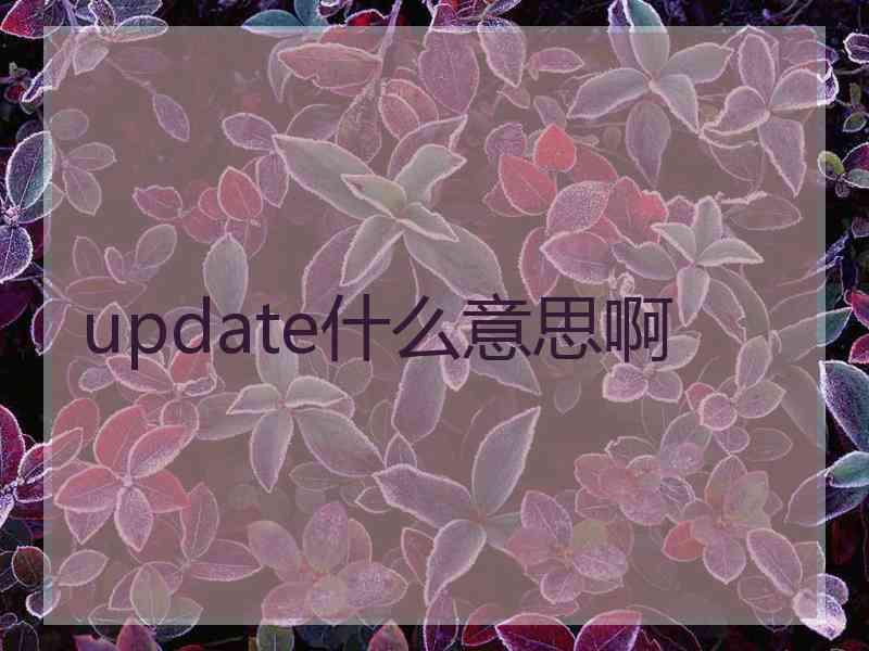 update什么意思啊