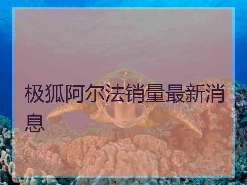 极狐阿尔法销量最新消息