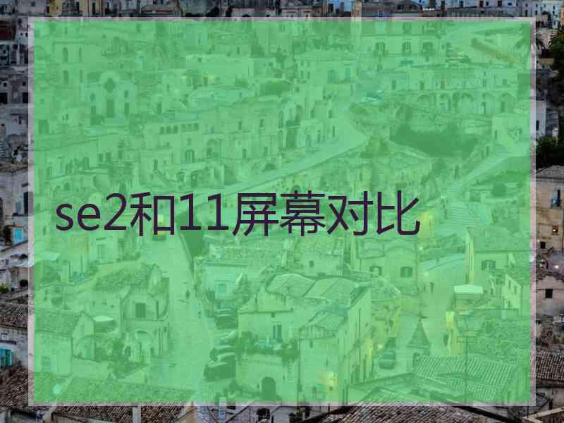 se2和11屏幕对比