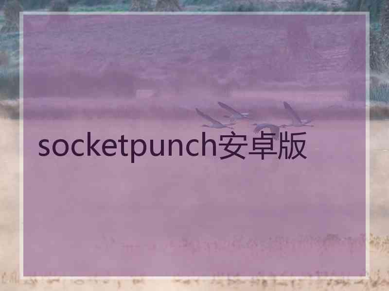 socketpunch安卓版