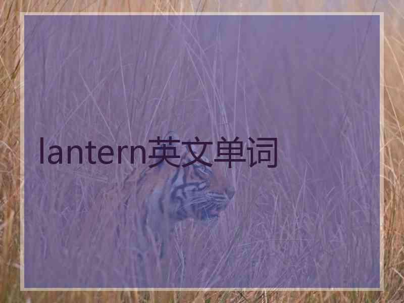 lantern英文单词