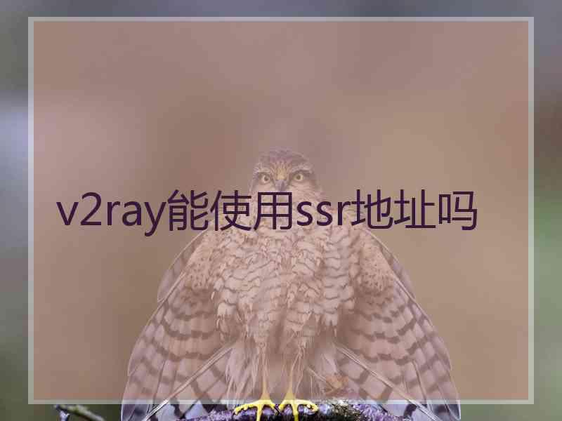 v2ray能使用ssr地址吗