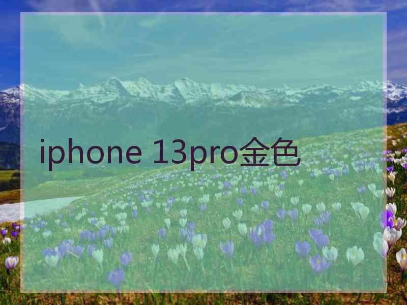 iphone 13pro金色