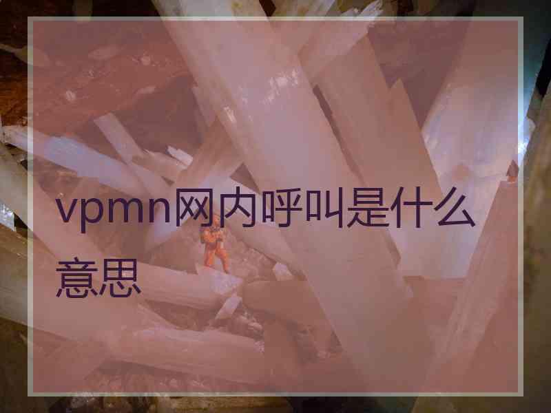 vpmn网内呼叫是什么意思