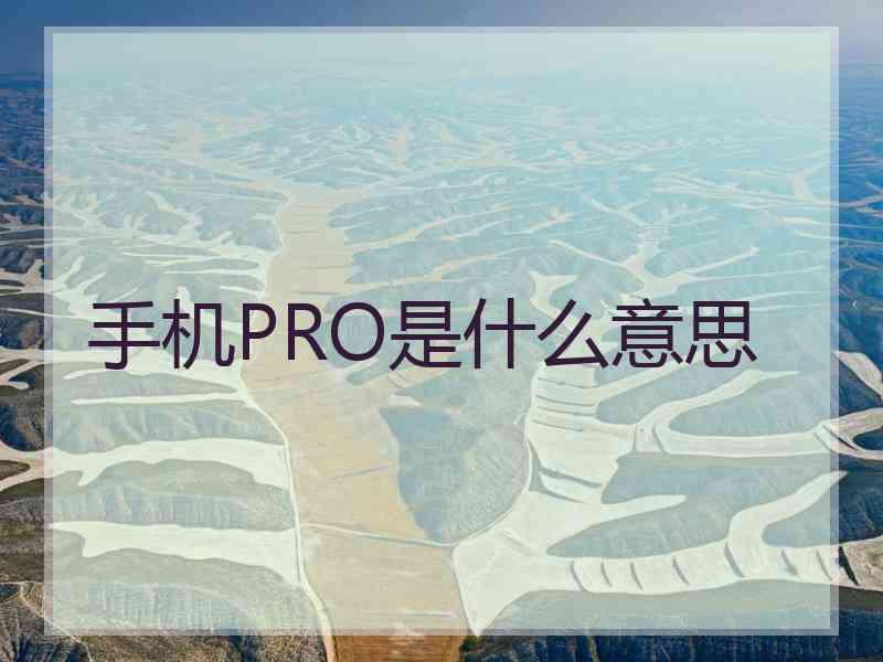 手机PRO是什么意思