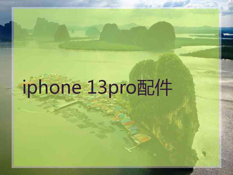 iphone 13pro配件