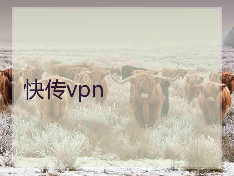 快传vpn