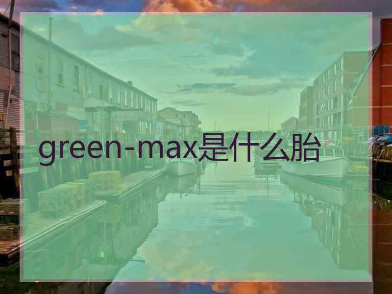 green-max是什么胎