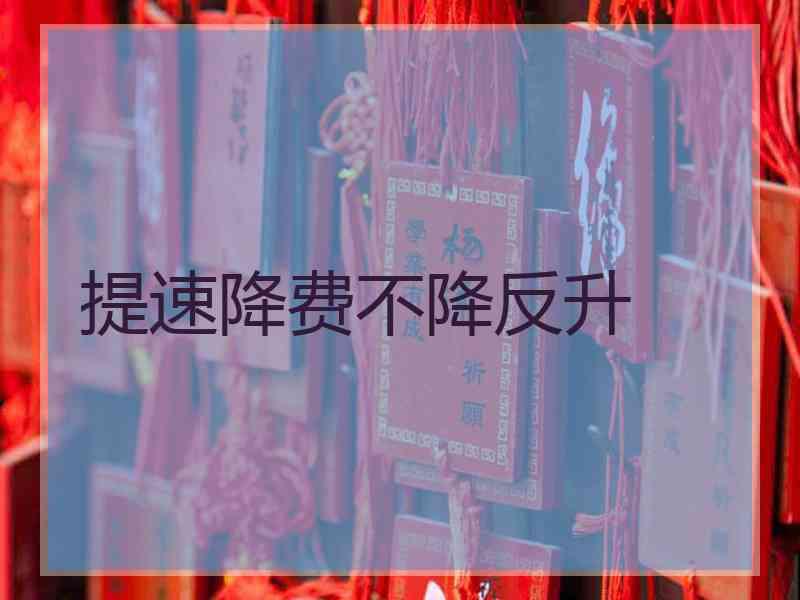 提速降费不降反升