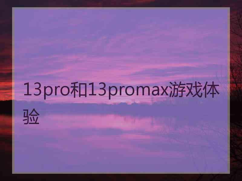 13pro和13promax游戏体验