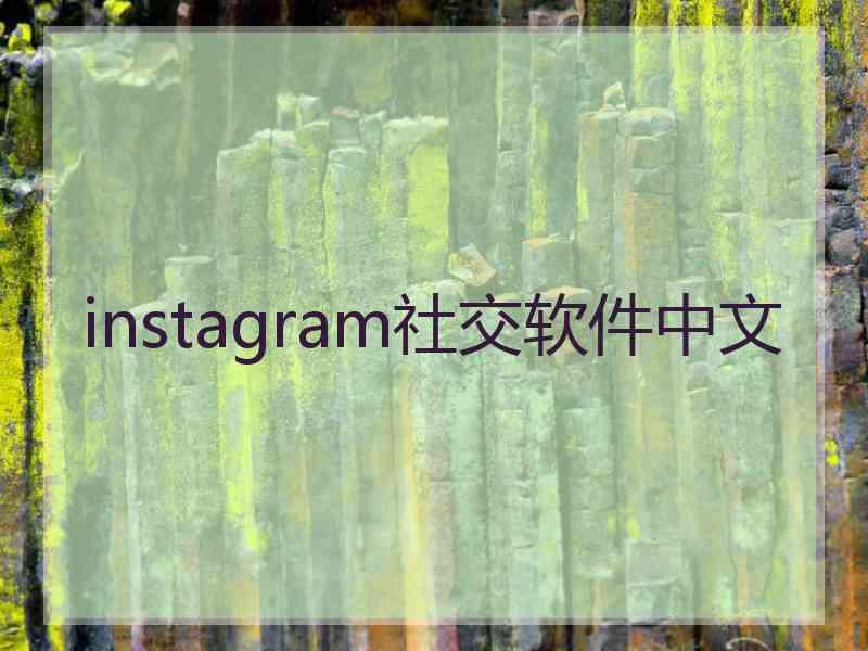 instagram社交软件中文