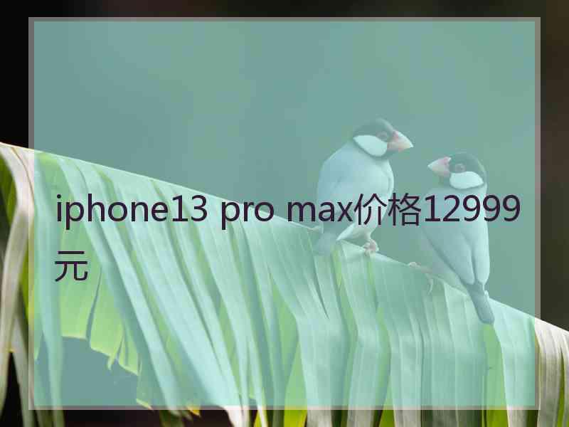 iphone13 pro max价格12999元