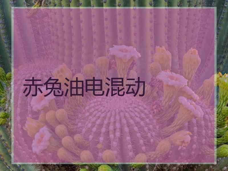 赤兔油电混动