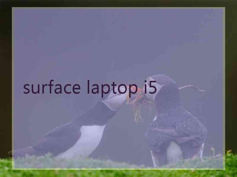 surface laptop i5