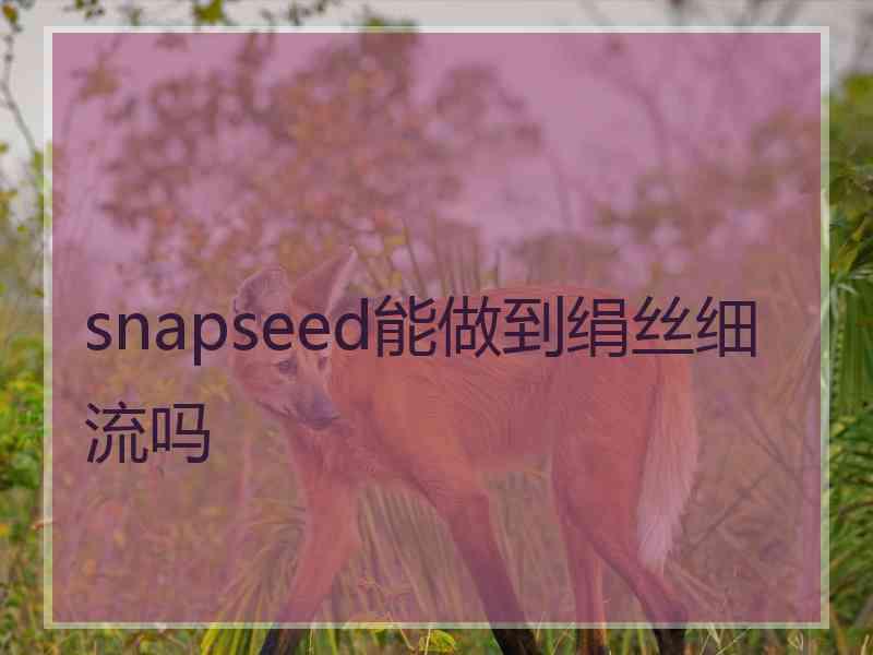 snapseed能做到绢丝细流吗