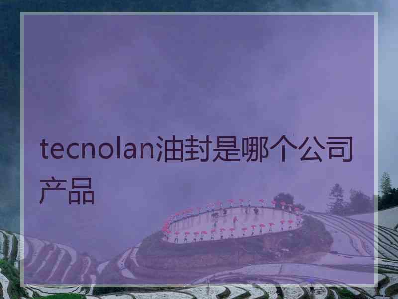 tecnolan油封是哪个公司产品