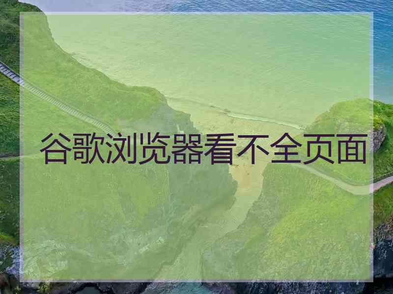 谷歌浏览器看不全页面