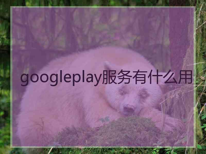 googleplay服务有什么用