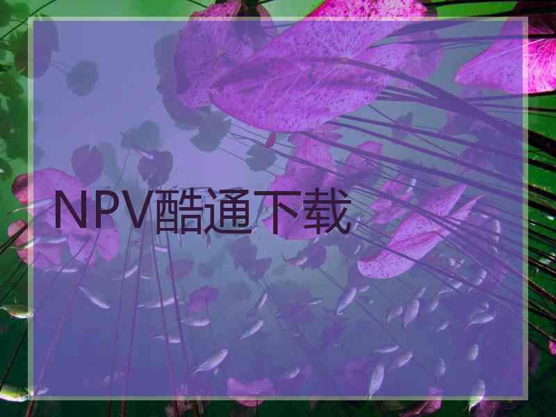 NPV酷通下载