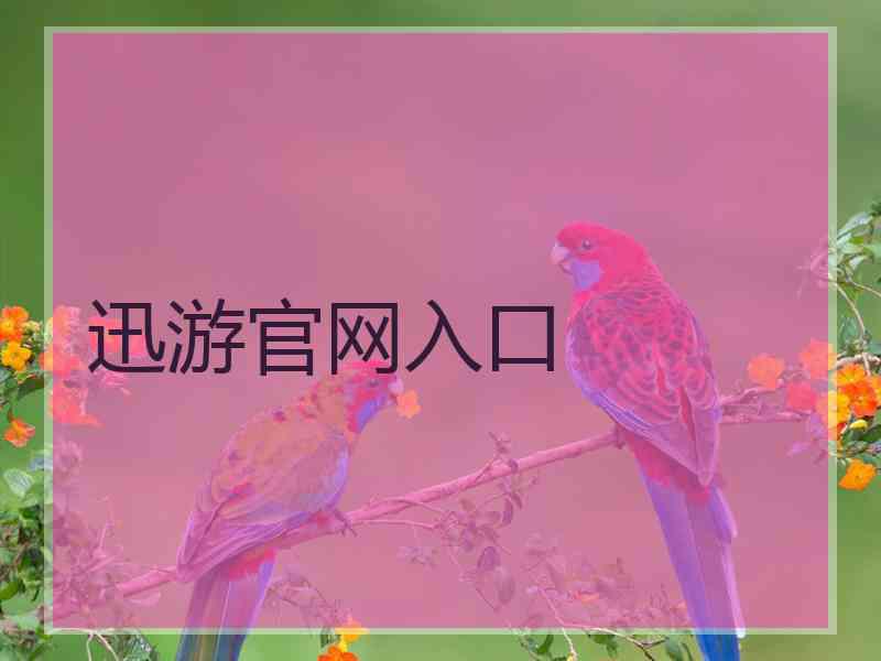 迅游官网入口