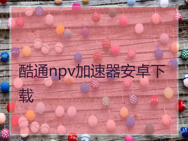 酷通npv加速器安卓下载