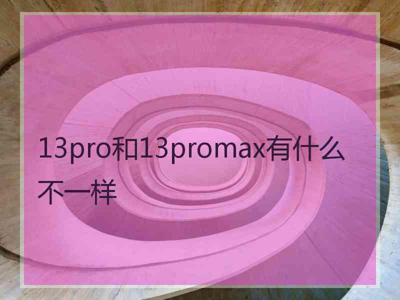 13pro和13promax有什么不一样