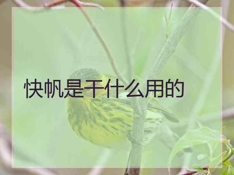 快帆是干什么用的