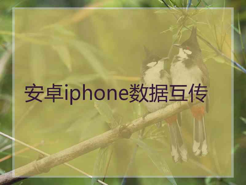 安卓iphone数据互传