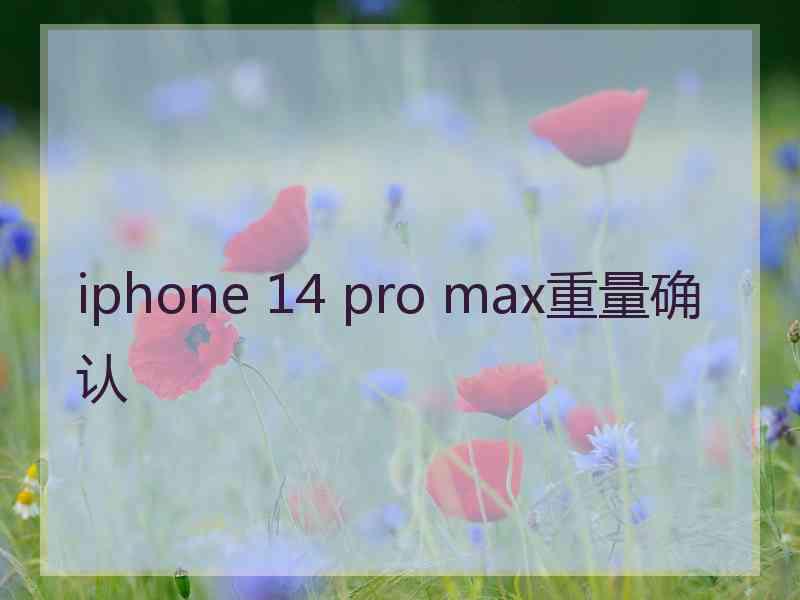 iphone 14 pro max重量确认