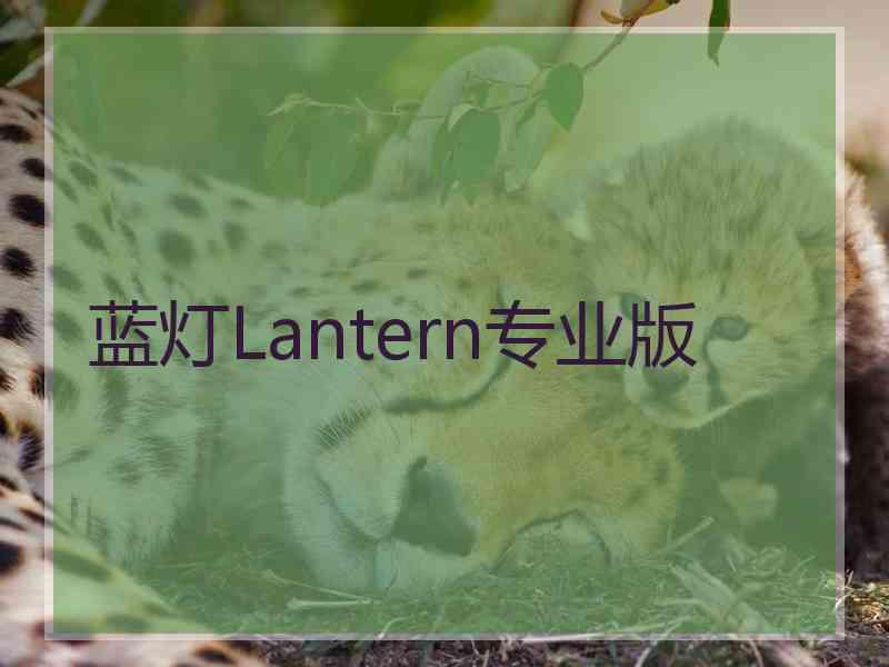 蓝灯Lantern专业版