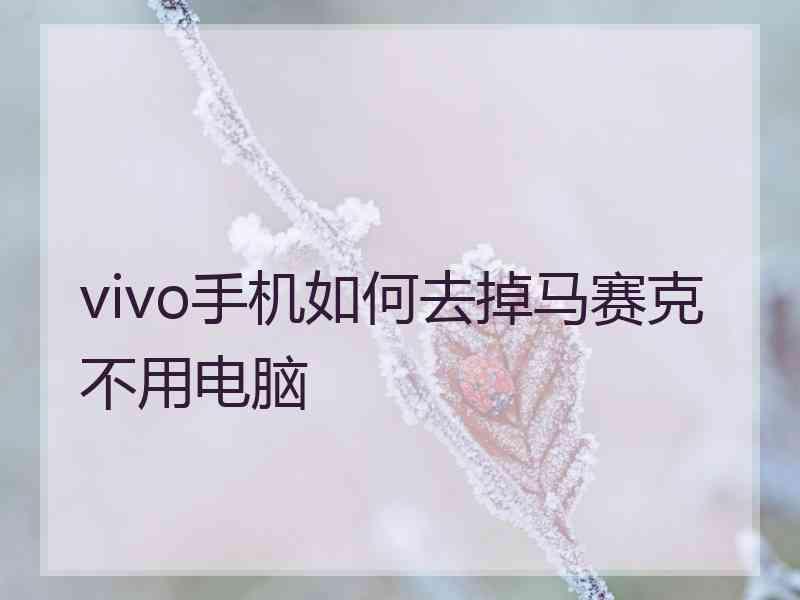 vivo手机如何去掉马赛克不用电脑