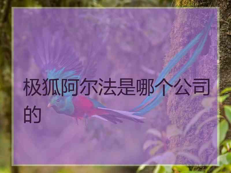 极狐阿尔法是哪个公司的