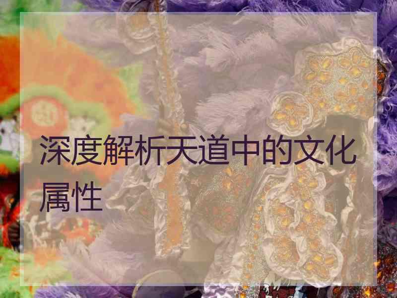 深度解析天道中的文化属性