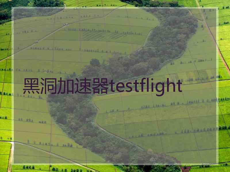 黑洞加速器testflight