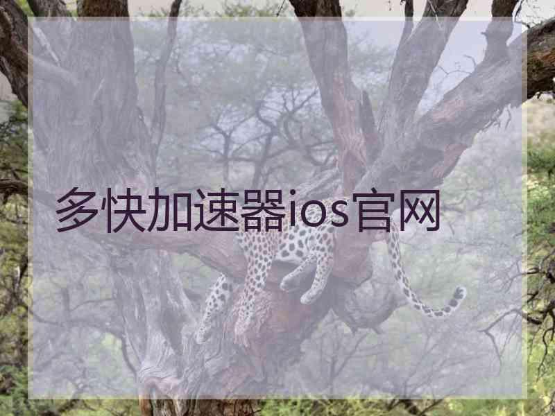 多快加速器ios官网