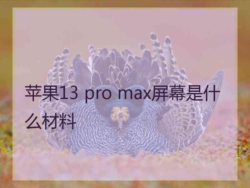 苹果13 pro max屏幕是什么材料