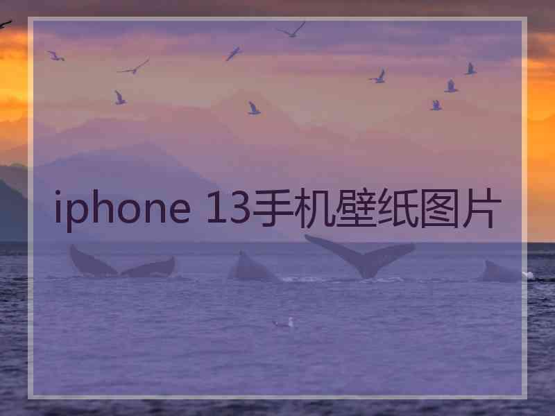 iphone 13手机壁纸图片