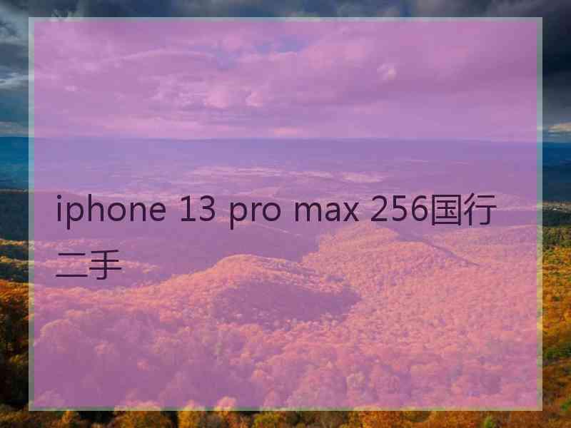 iphone 13 pro max 256国行二手