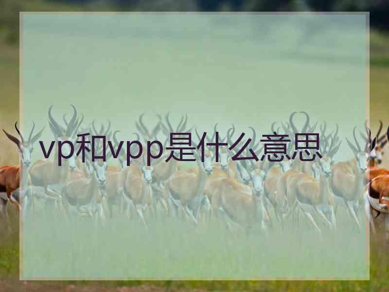 vp和vpp是什么意思